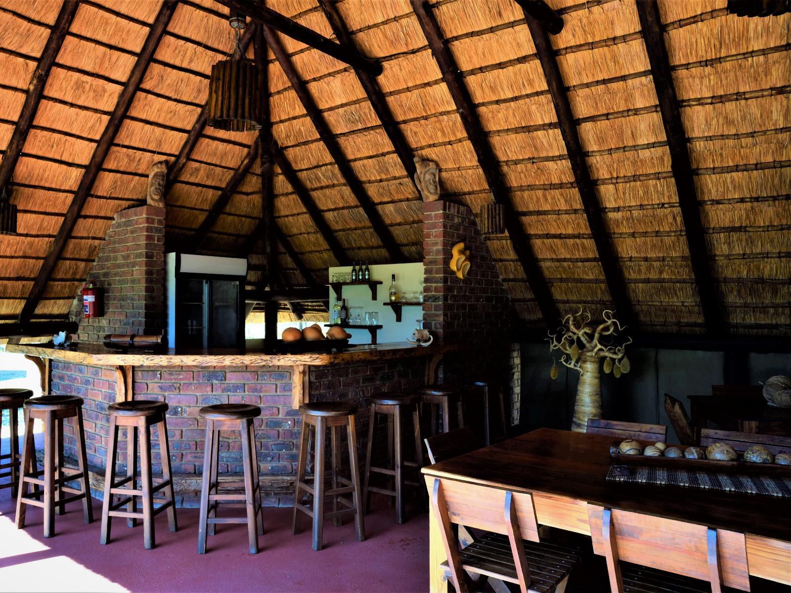 Masorini Bush Lodge, Bar