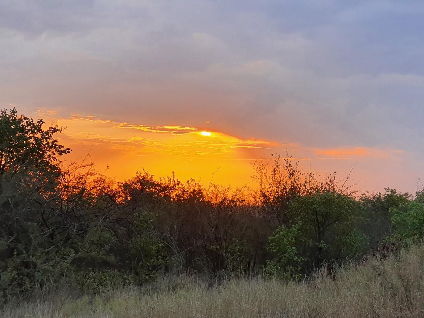 Masorini Bush Lodge, Sky, Nature, Sunset