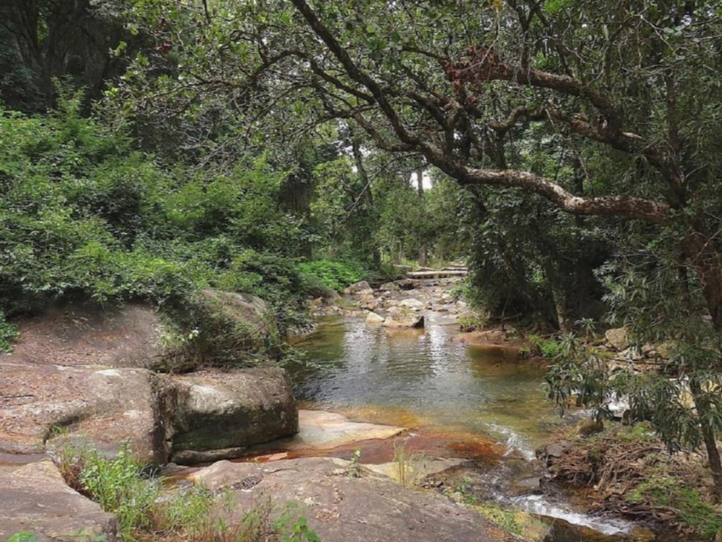 Masorini Bush Lodge, Forest, Nature, Plant, Tree, Wood, River, Waters, Waterfall