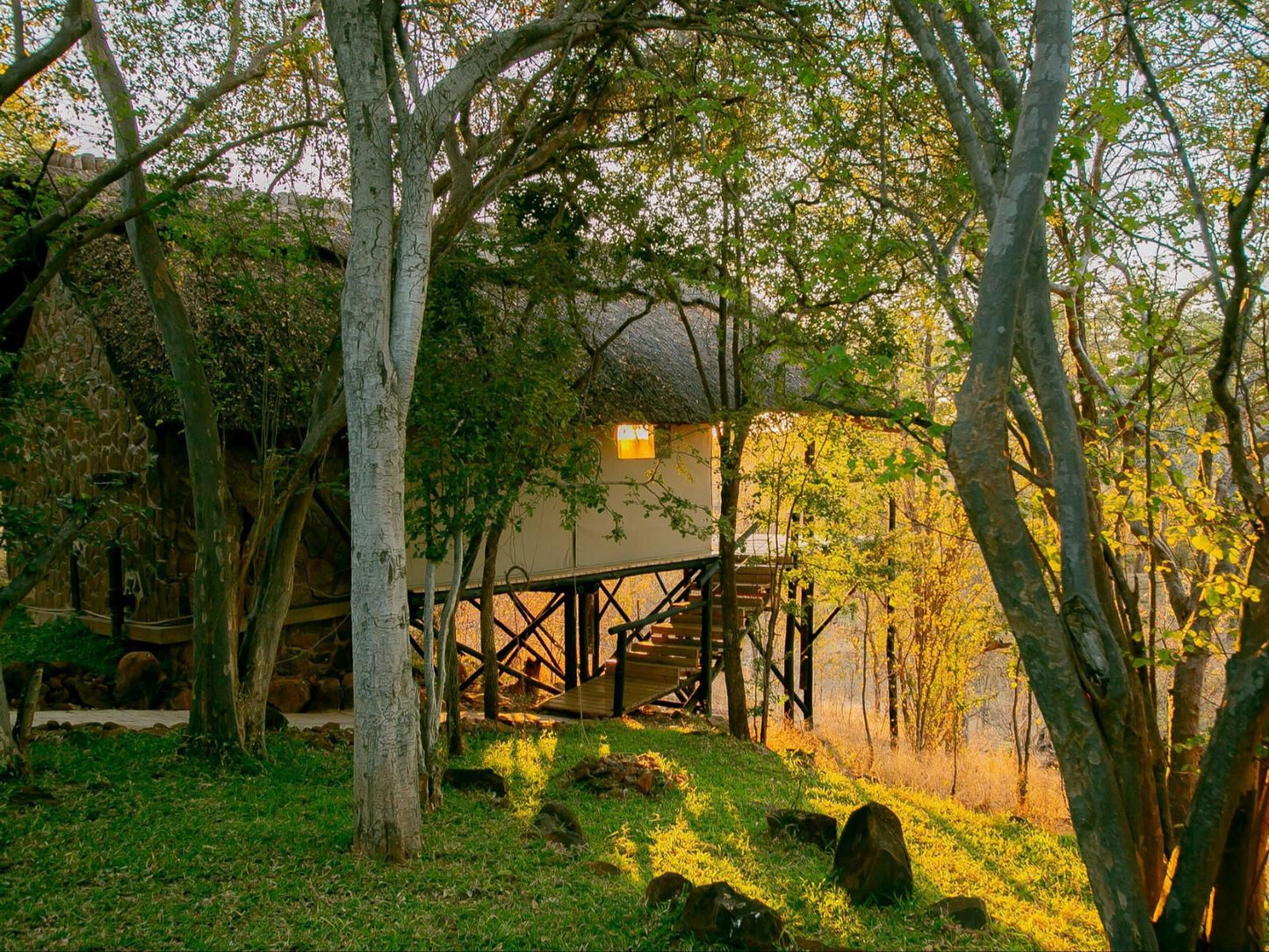 Masuwe Lodge, The Hide-Away, Tree, Plant, Nature, Wood