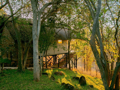 Masuwe Lodge, The Hide-Away, Tree, Plant, Nature, Wood