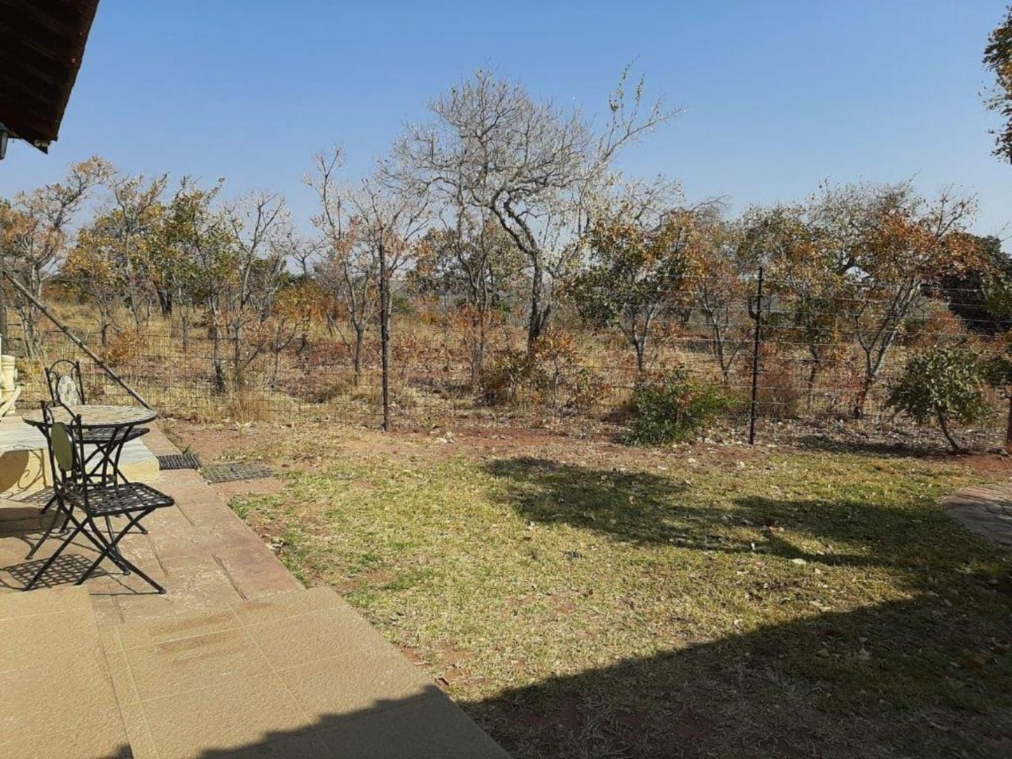 Matalatala Wildlife Reserve Cullinan Gauteng South Africa Complementary Colors, Tree, Plant, Nature, Wood