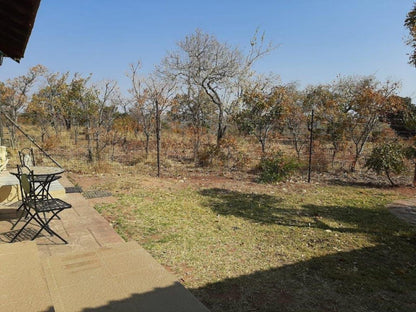 Matalatala Wildlife Reserve Cullinan Gauteng South Africa Complementary Colors, Tree, Plant, Nature, Wood