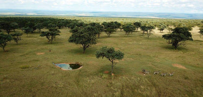 Matamba Bush Campsite Vaalwater Limpopo Province South Africa Tree, Plant, Nature, Wood, Aerial Photography, Lowland