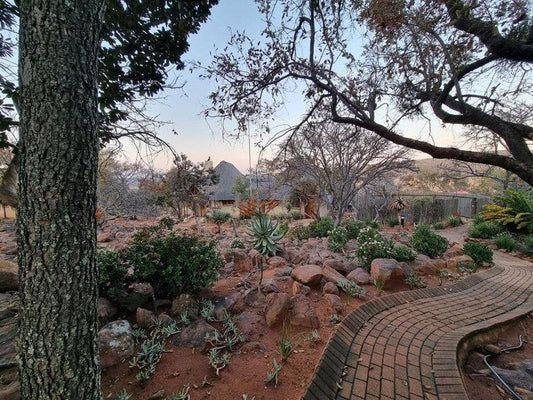 Matingwe Lodge Welgevonden Game Reserve Limpopo Province South Africa Plant, Nature, Framing, Garden