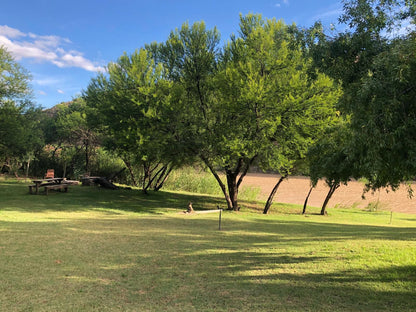 Matjiesvlei Cottages Calitzdorp Western Cape South Africa Plant, Nature, Tree, Wood