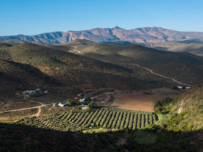 Matjiesvlei Cottages Calitzdorp Western Cape South Africa Aerial Photography