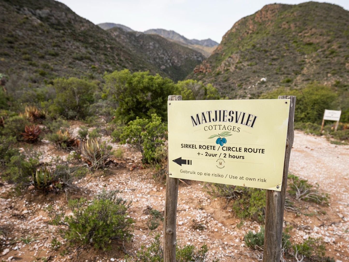 Matjiesvlei Cottages Calitzdorp Western Cape South Africa Cactus, Plant, Nature, Sign, Text