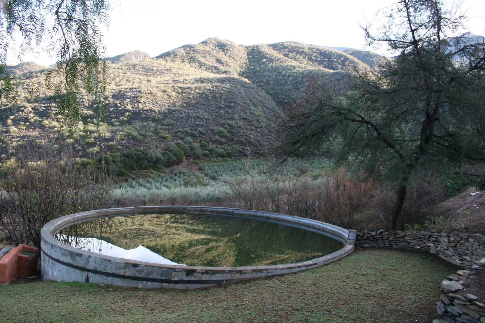 Matjiesvlei Retreat 1945 Calitzdorp Western Cape South Africa Unsaturated, Garden, Nature, Plant, Swimming Pool