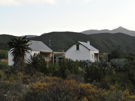 Matjiesvlei Guest Farm Calitzdorp Western Cape South Africa Building, Architecture, Cactus, Plant, Nature, House