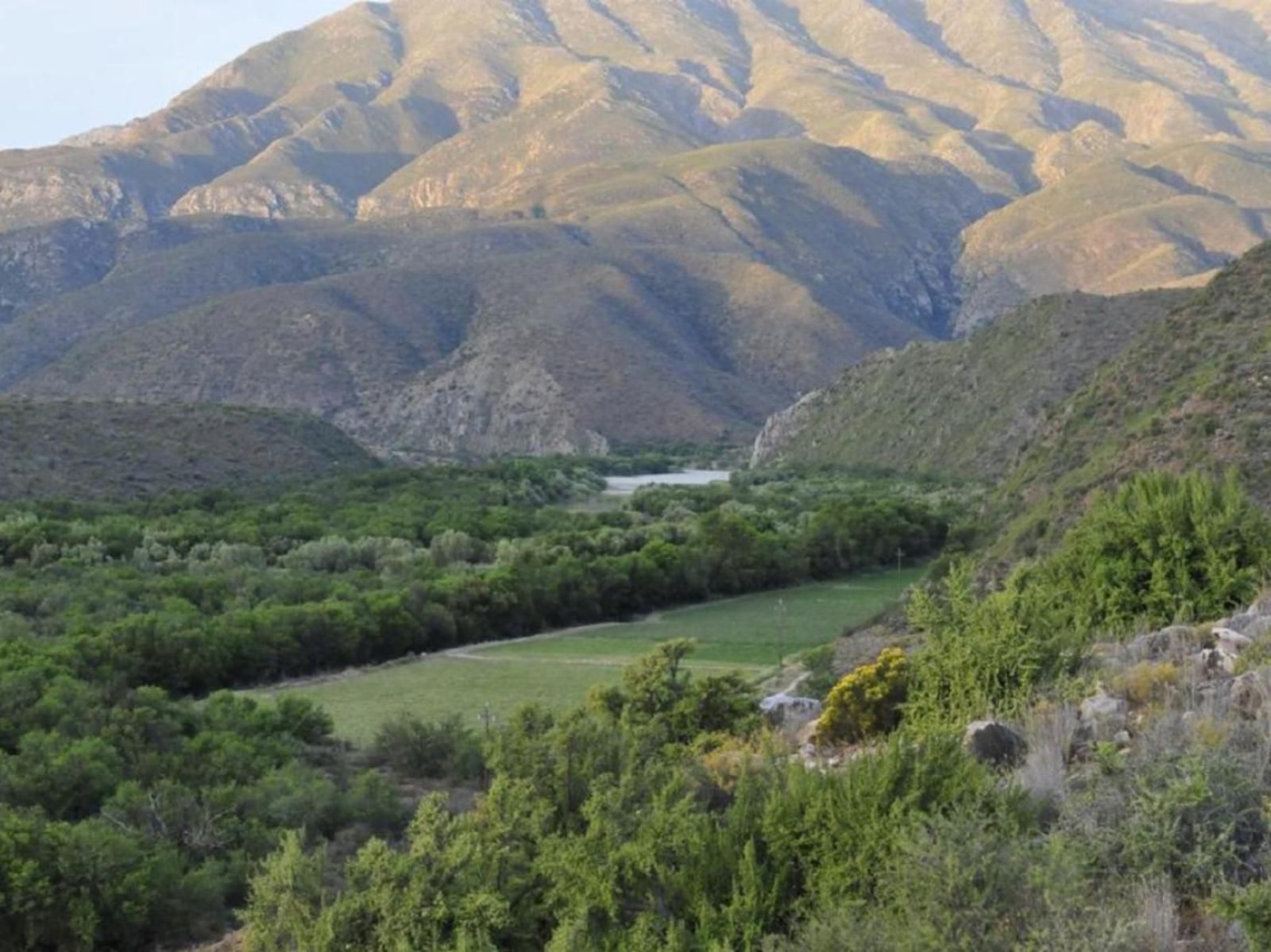 Matjiesvlei Guest Farm Calitzdorp Western Cape South Africa Highland, Nature