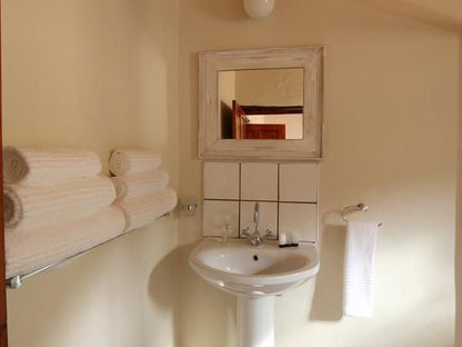 Matjiesvlei Retreat Katrien Calitzdorp Western Cape South Africa Sepia Tones, Bathroom