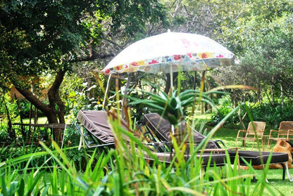 Matlapa Lodge Magaliesburg Gauteng South Africa Umbrella, Garden, Nature, Plant, Rain