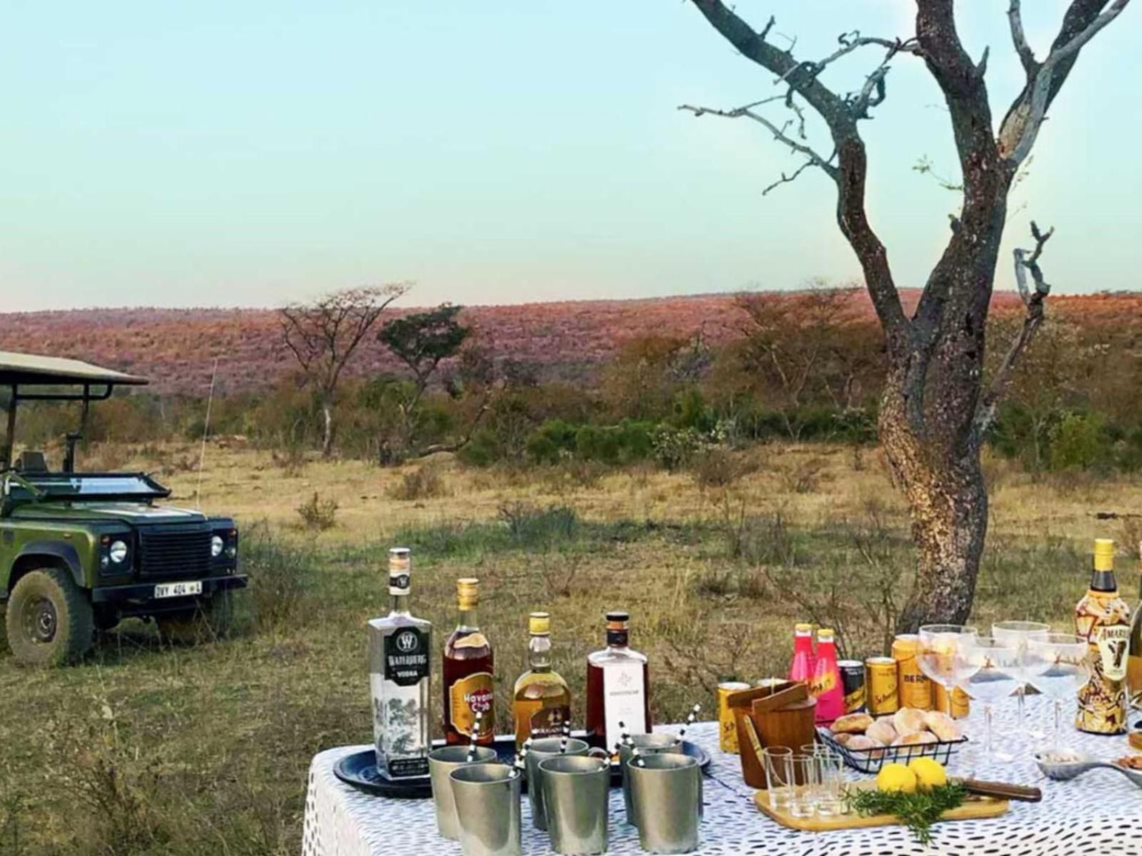 Matomo Exclusive Luxury Safari Lodge Welgevonden Game Reserve Limpopo Province South Africa Complementary Colors, Bottle, Drinking Accessoire, Drink, Lowland, Nature