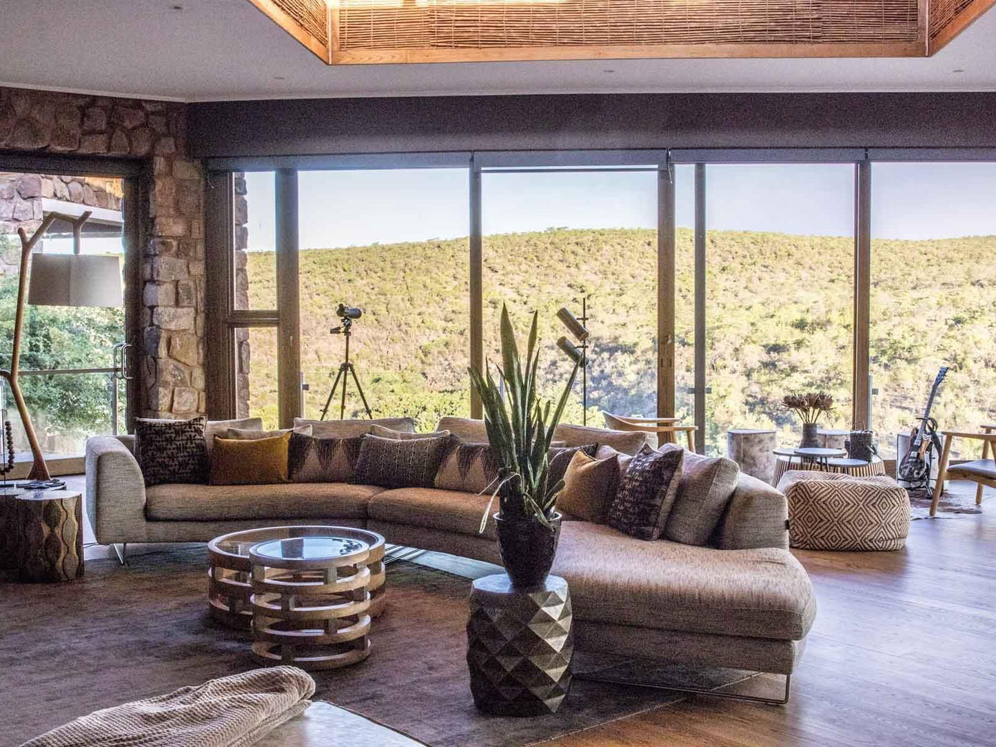 Matomo Exclusive Luxury Safari Lodge Welgevonden Game Reserve Limpopo Province South Africa Cactus, Plant, Nature, Living Room