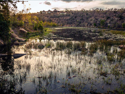 Matomo Exclusive Luxury Safari Lodge Welgevonden Game Reserve Limpopo Province South Africa River, Nature, Waters