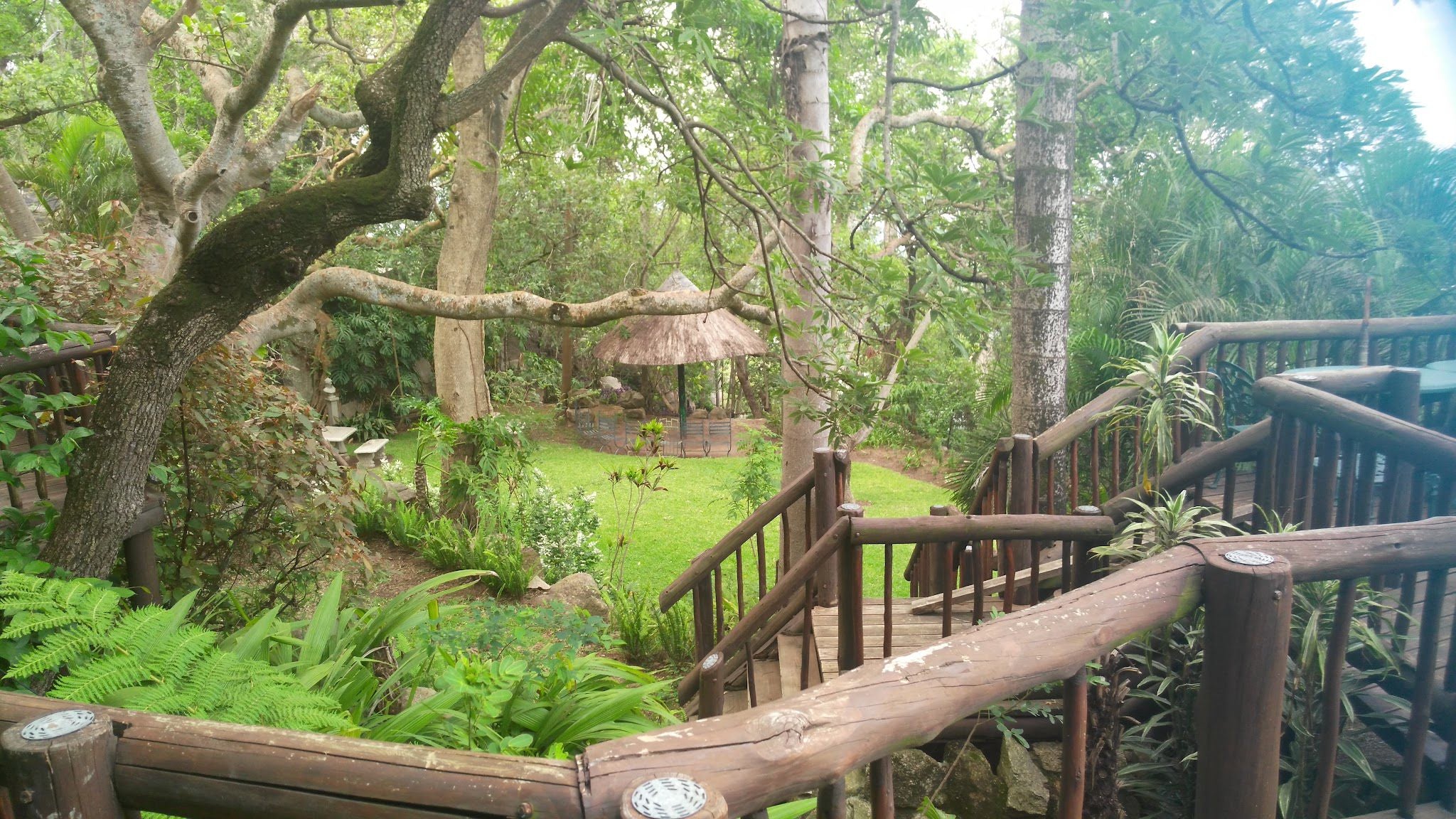 Matopos Lodge Nelspruit Mpumalanga South Africa Plant, Nature, Tree, Wood, Garden