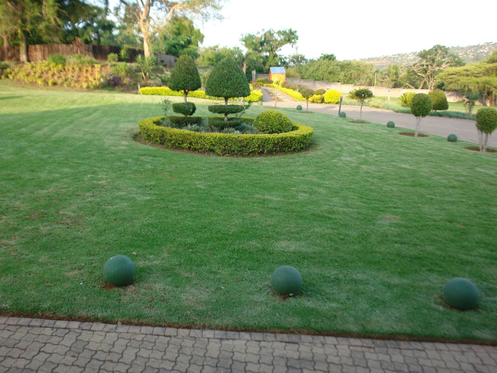 Matsemba Guest House White River Mpumalanga South Africa Plant, Nature, Ball Game, Sport, Garden
