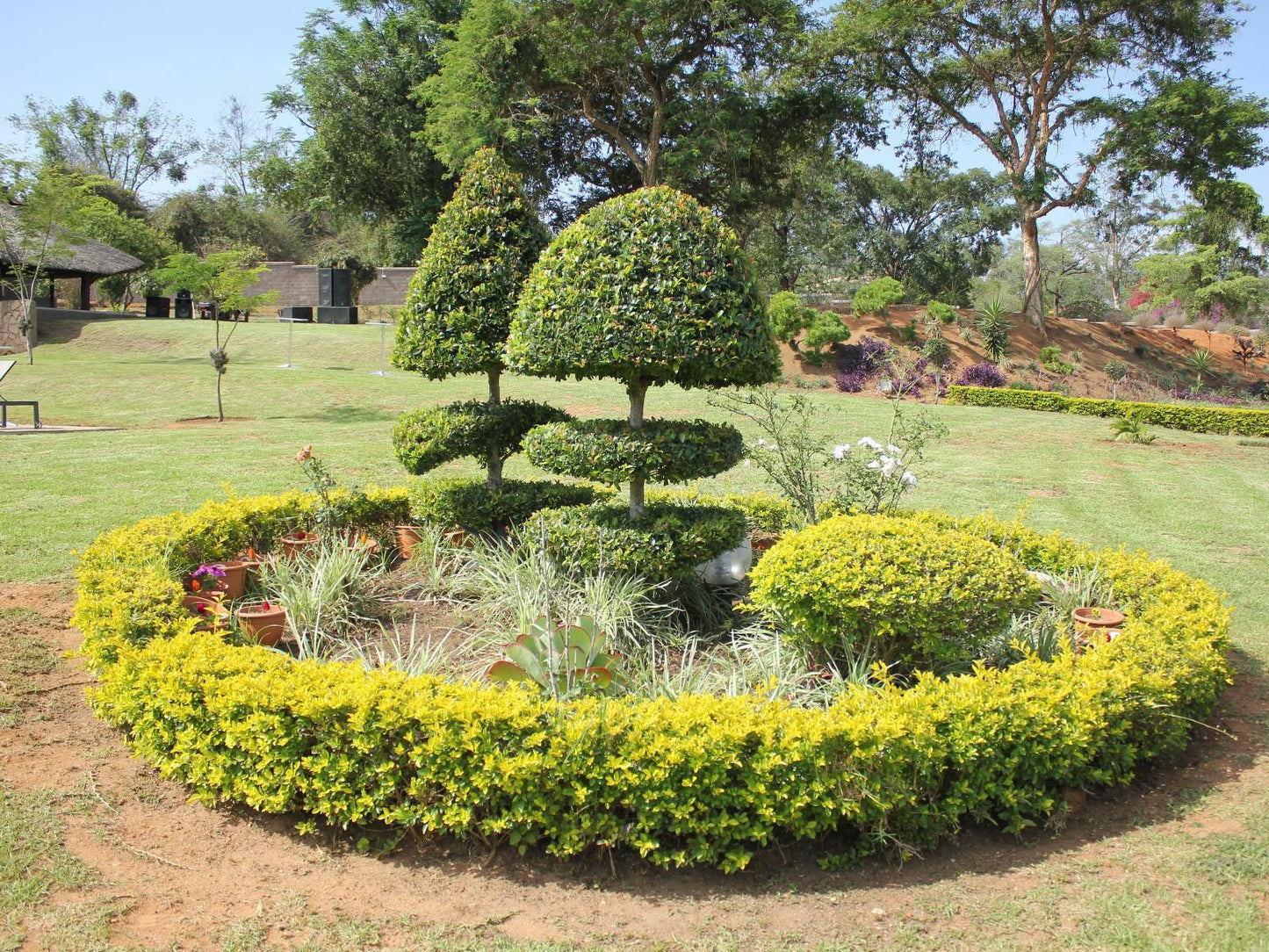 Matsemba Guest House White River Mpumalanga South Africa Plant, Nature, Garden