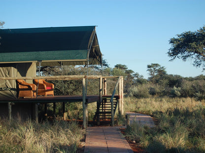 Mattanu Private Game Reserve Barkly West Northern Cape South Africa 