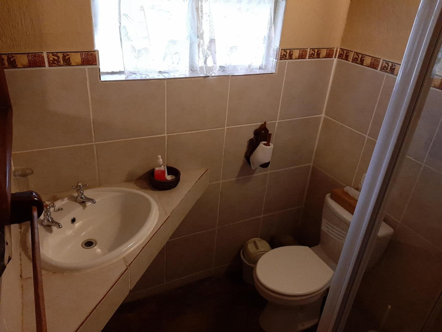 Matumi Lodge Klaserie Limpopo Province South Africa Cat, Mammal, Animal, Pet, Bathroom