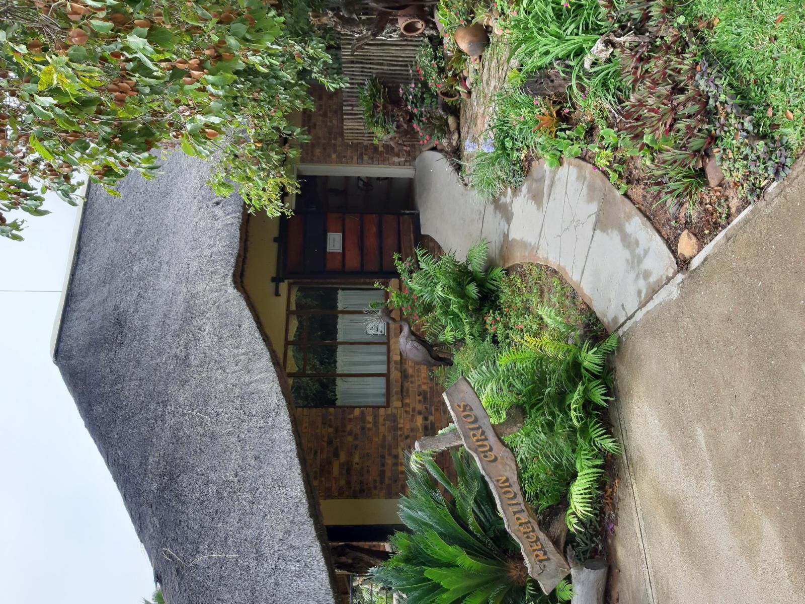 Matumi Lodge Klaserie Limpopo Province South Africa House, Building, Architecture, Plant, Nature, Garden