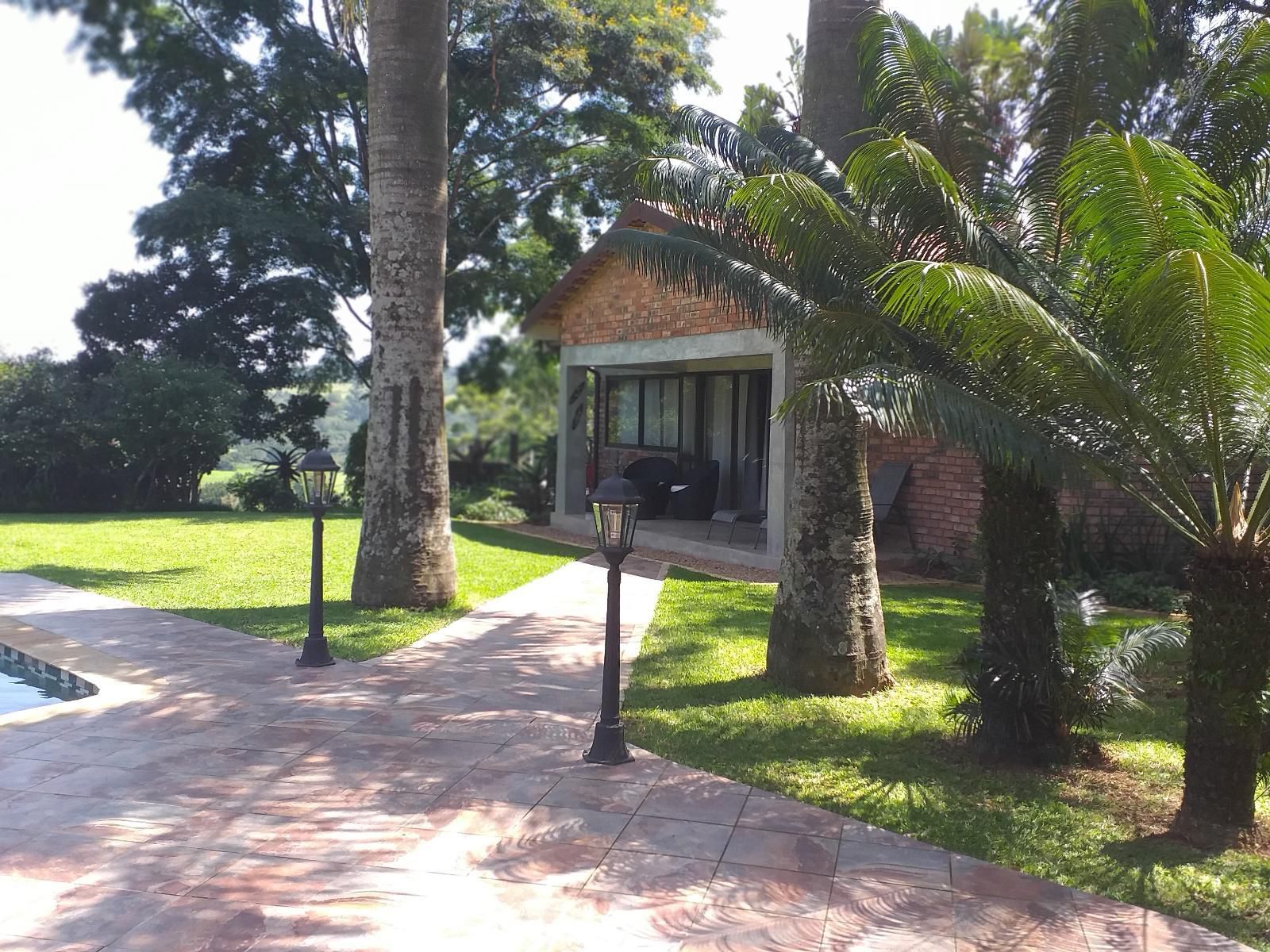 Matusadona Guest Lodge, Palm Tree, Plant, Nature, Wood