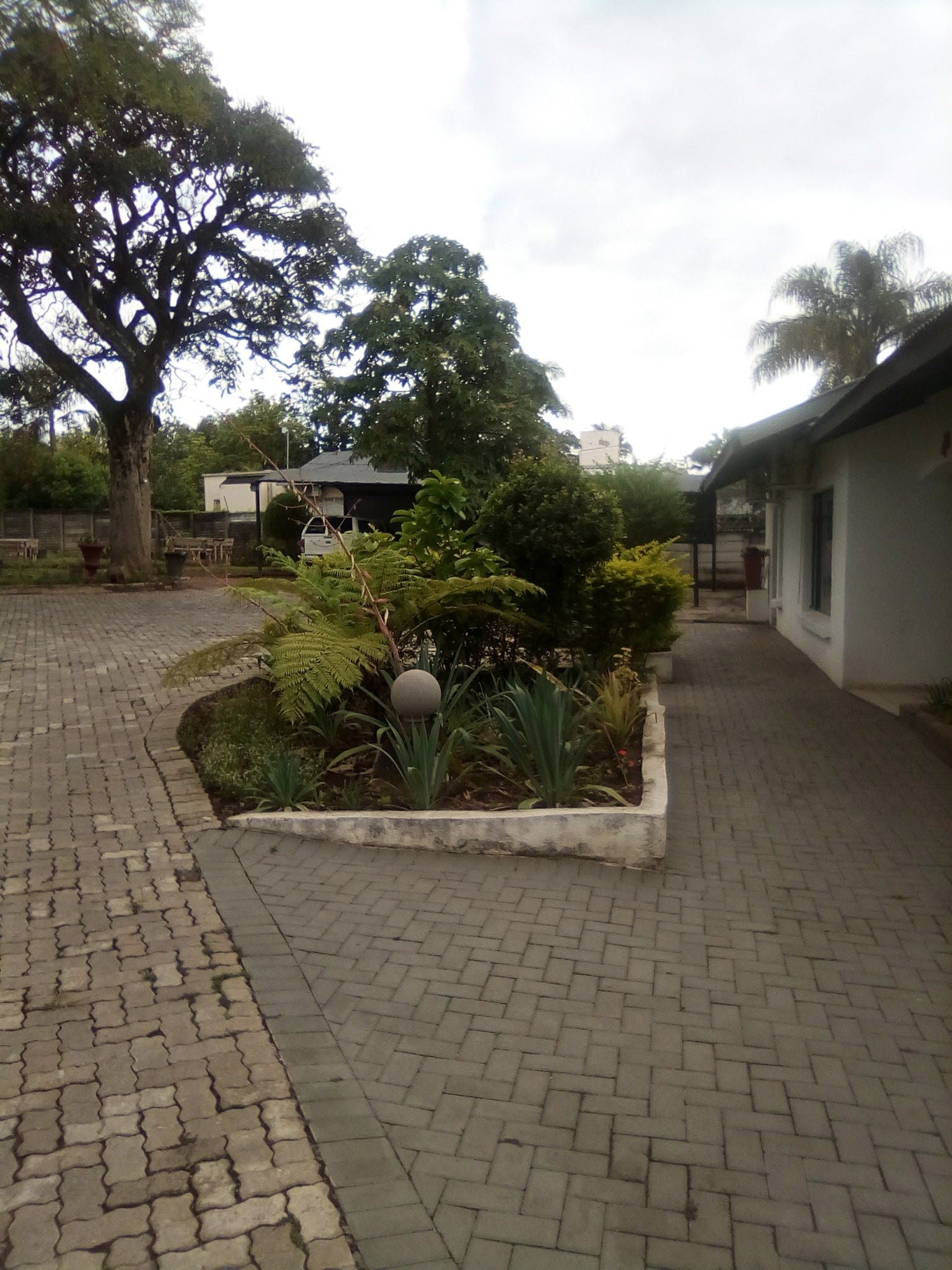 Mavambi Guest House White River Mpumalanga South Africa House, Building, Architecture, Palm Tree, Plant, Nature, Wood, Garden