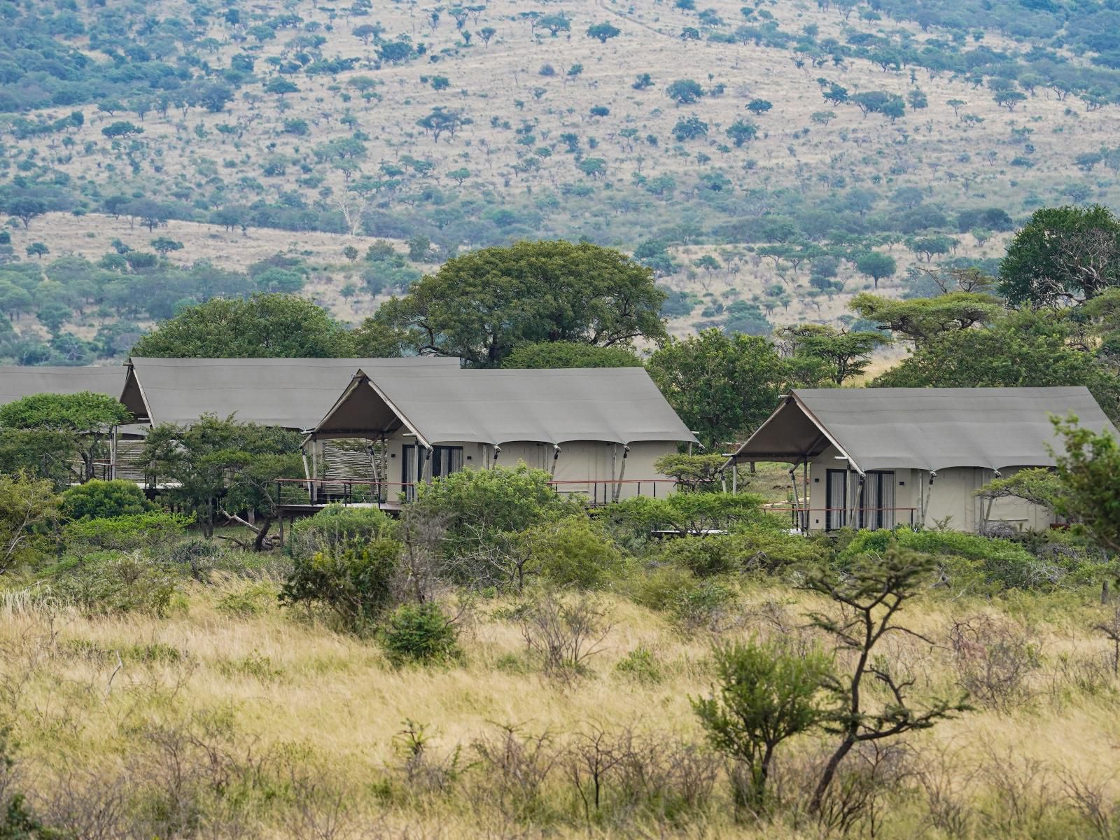 Mavela Game Lodge Manyoni Private Game Reserve Kwazulu Natal South Africa Barn, Building, Architecture, Agriculture, Wood