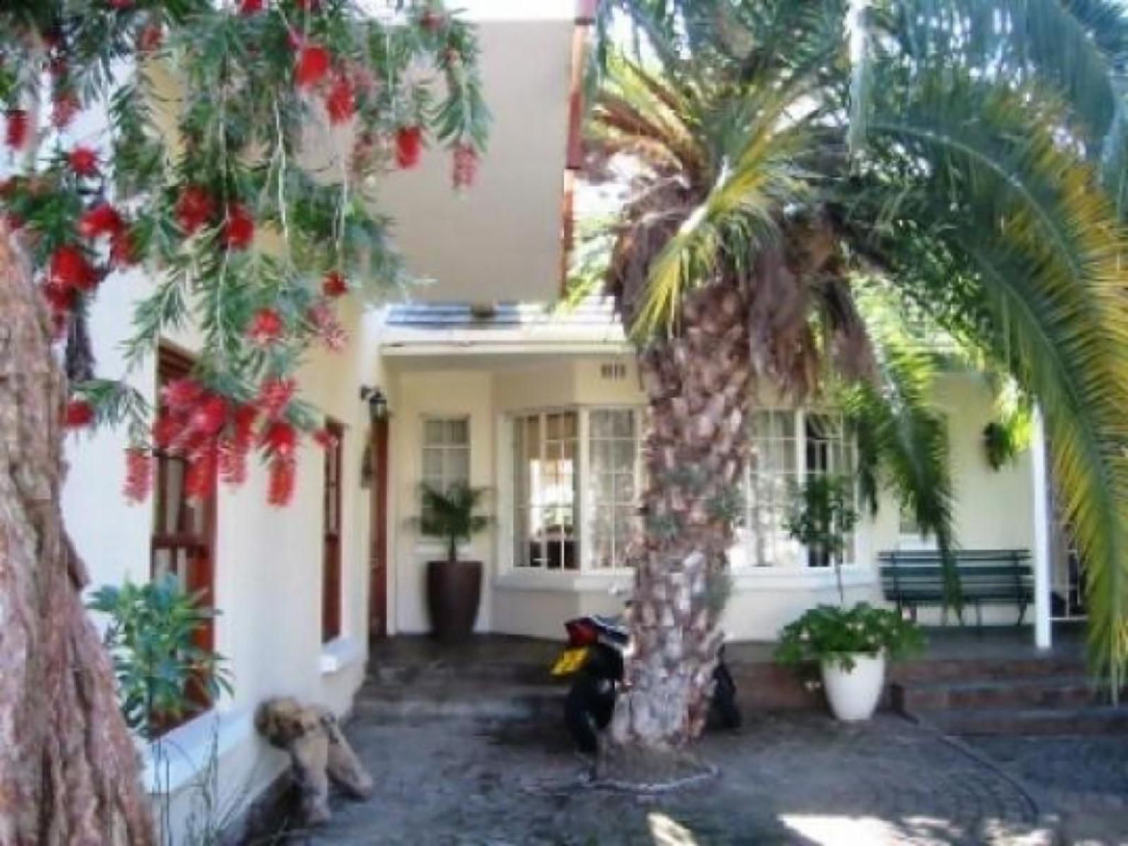 Mavilla Stellenbosch Guest House Stellenbosch Western Cape South Africa House, Building, Architecture, Palm Tree, Plant, Nature, Wood, Garden