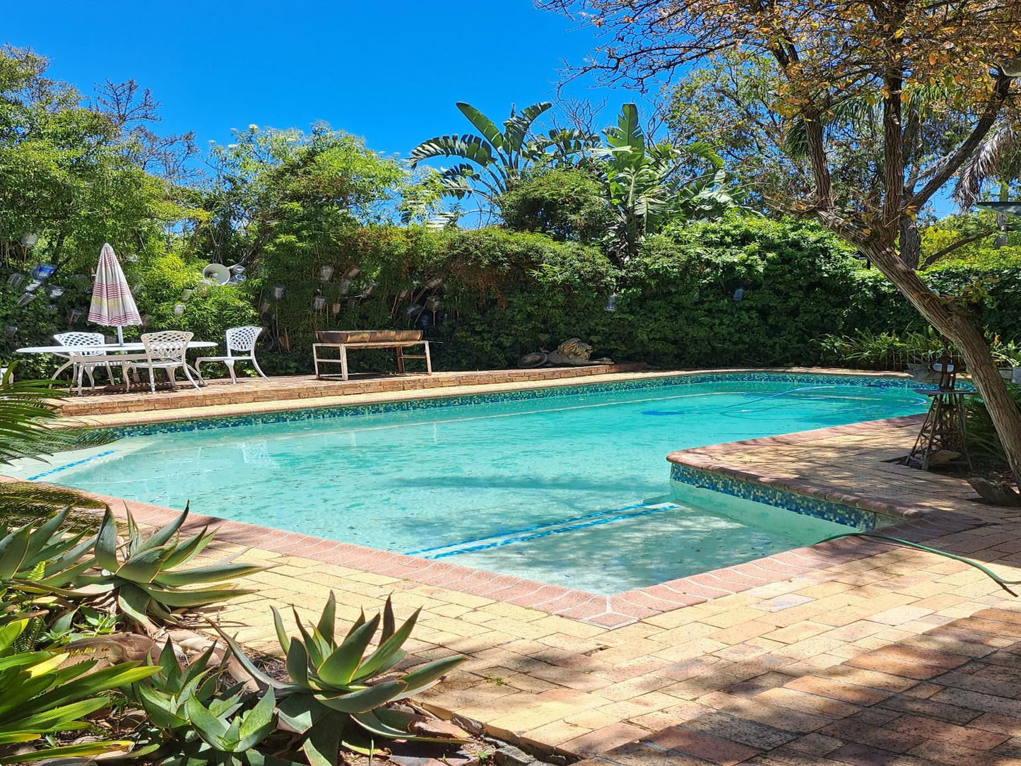 Mavilla Stellenbosch Guest House Stellenbosch Western Cape South Africa Complementary Colors, Garden, Nature, Plant, Swimming Pool