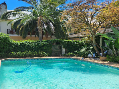 Mavilla Stellenbosch Guest House Stellenbosch Western Cape South Africa Palm Tree, Plant, Nature, Wood, Garden, Swimming Pool