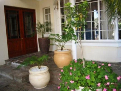 Mavilla Stellenbosch Guest House Stellenbosch Western Cape South Africa House, Building, Architecture, Plant, Nature, Garden