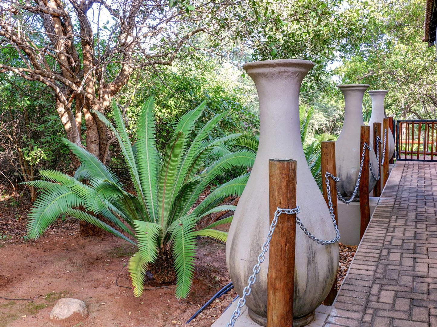 Mawusi Bush Lodge, Palm Tree, Plant, Nature, Wood, Garden