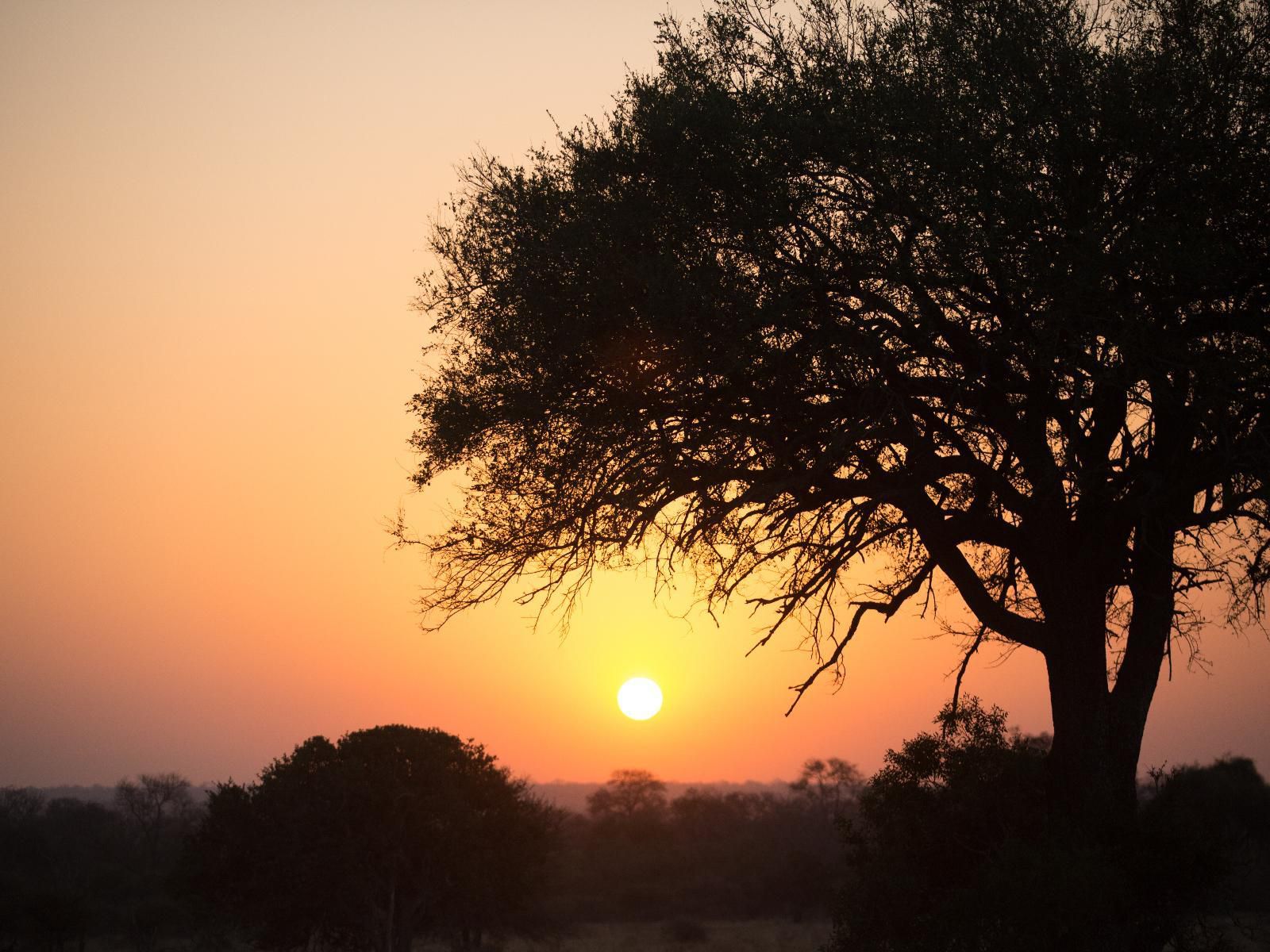 Maya Manor Hoedspruit Limpopo Province South Africa Sky, Nature, Sunset