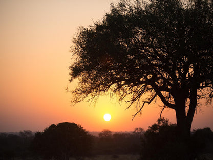 Maya Manor Hoedspruit Limpopo Province South Africa Sky, Nature, Sunset