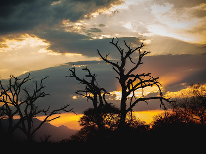 Maya Manor Hoedspruit Limpopo Province South Africa Silhouette, Sky, Nature, Sunset