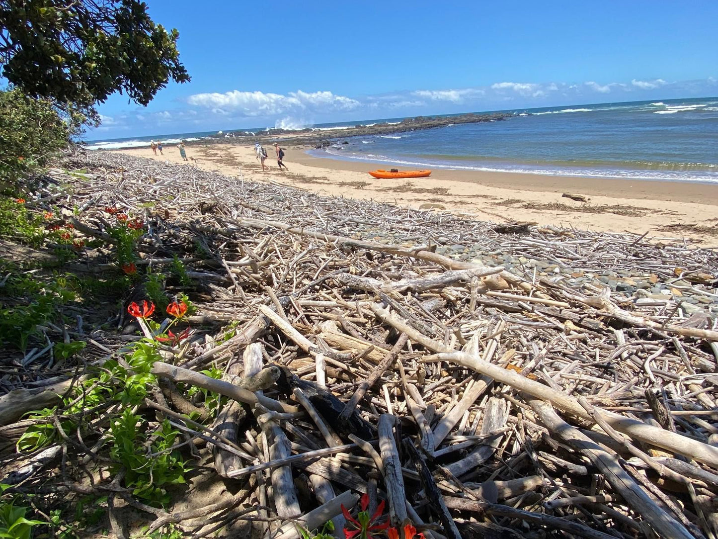 Mazeppa Sunrise Beach Accommodation, Beach, Nature, Sand