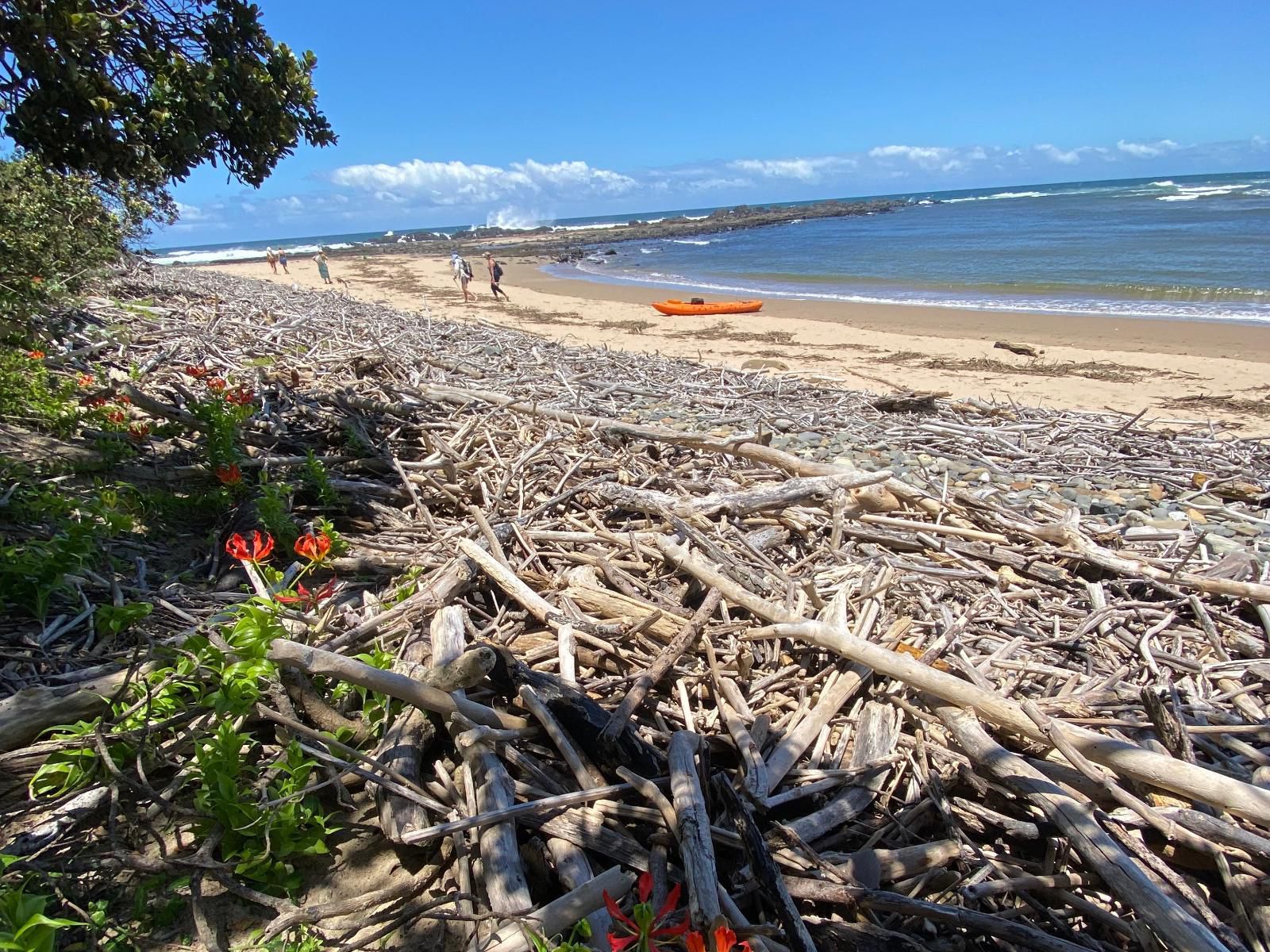 Mazeppa Sunrise Beach Accommodation, Beach, Nature, Sand