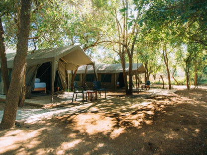 Mazunga Tented Camp Gravelotte Limpopo Province South Africa Tent, Architecture