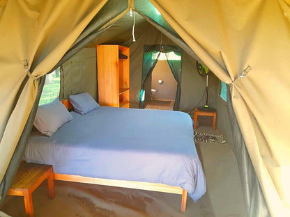 Mazunga Tented Camp Gravelotte Limpopo Province South Africa Tent, Architecture, Bedroom