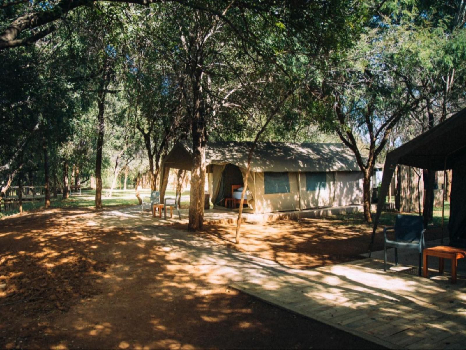 Mazunga Tented Camp Gravelotte Limpopo Province South Africa 