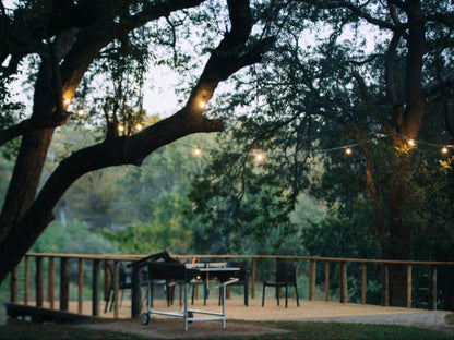 Mazunga Tented Camp Gravelotte Limpopo Province South Africa Tree, Plant, Nature, Wood