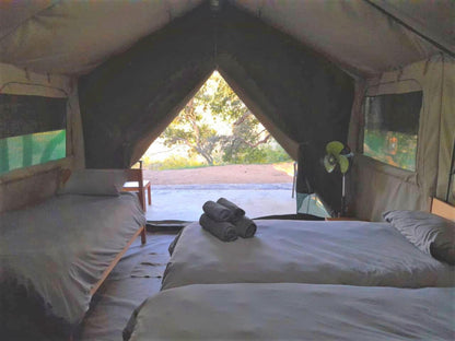 4 Sleeper Tent @ Mazunga Tented Camp