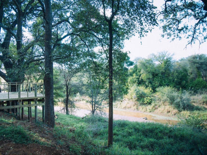 Mazunga Tented Camp Gravelotte Limpopo Province South Africa Forest, Nature, Plant, Tree, Wood, River, Waters