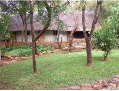 Mbewa Cabins B And B And Self Catering Zeerust North West Province South Africa Plant, Nature