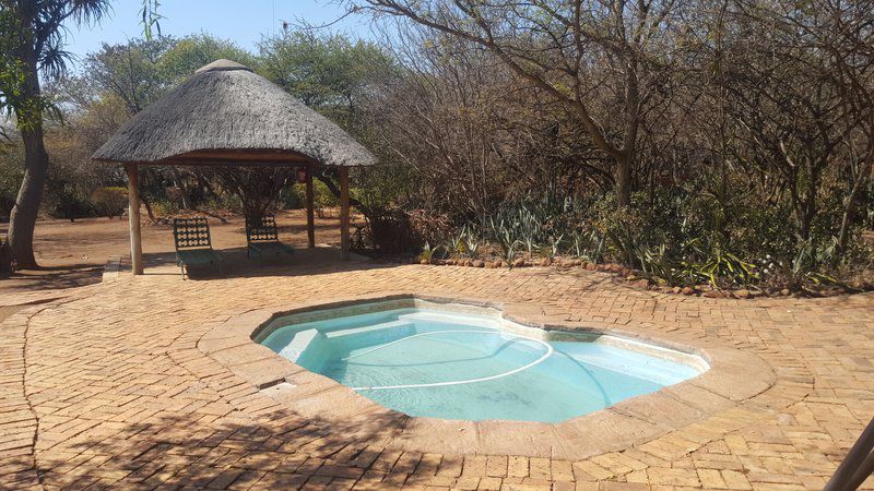 Mbidi Lodge Loskop Dam Mpumalanga South Africa Garden, Nature, Plant, Swimming Pool