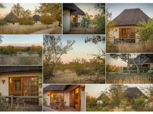 Mbizi Bush Lodge Balule Nature Reserve Mpumalanga South Africa Building, Architecture, House