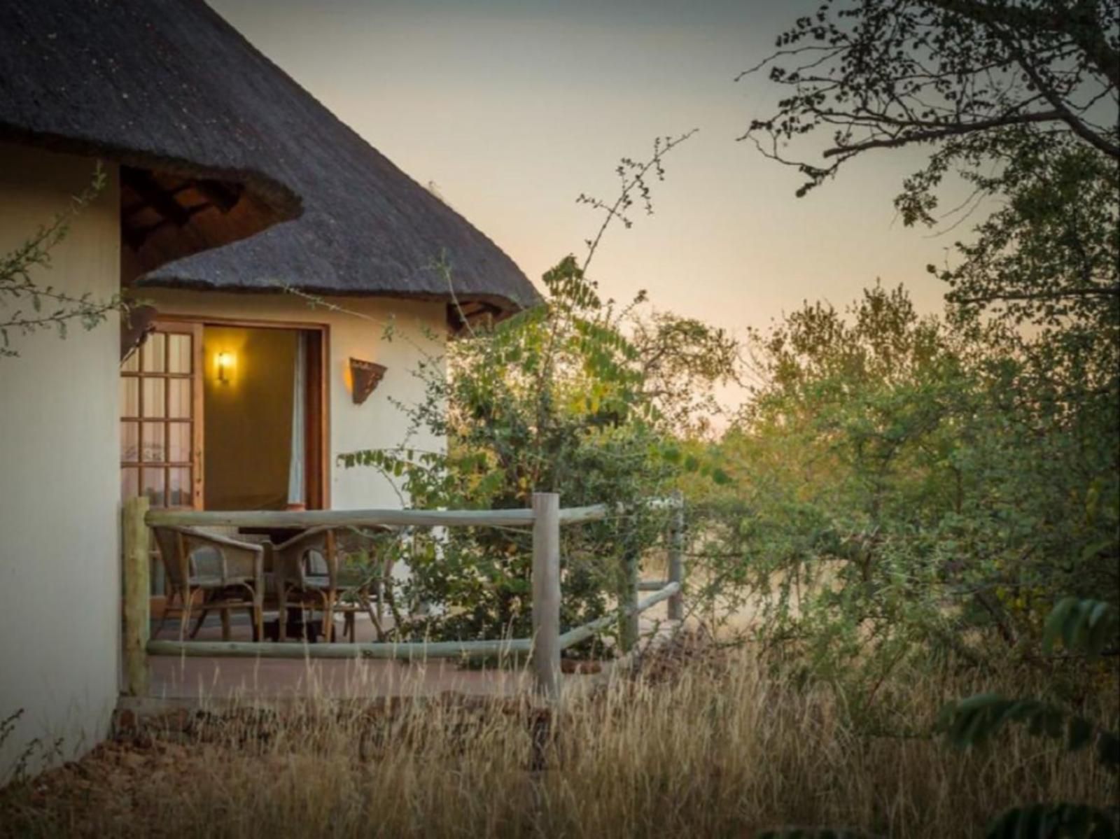 Mbizi Bush Lodge Balule Nature Reserve Mpumalanga South Africa 