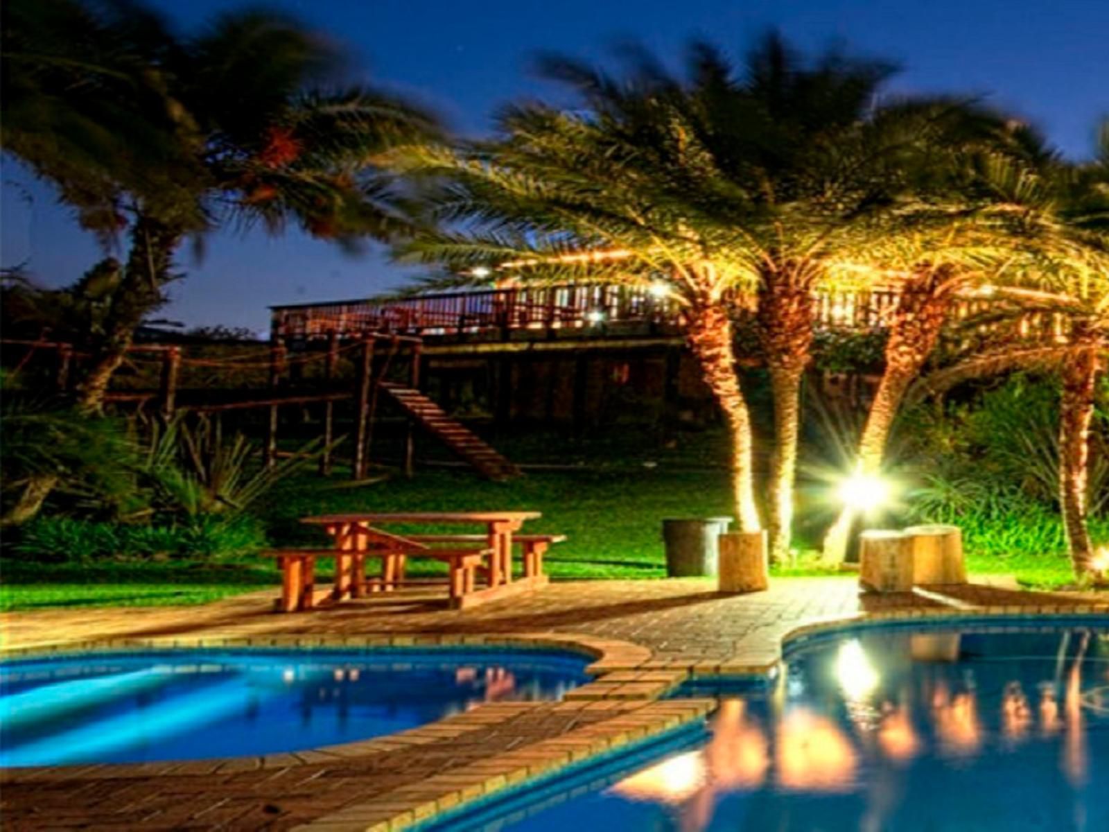 Mbotyi River Lodge Mbotyi Eastern Cape South Africa Complementary Colors, Colorful, Palm Tree, Plant, Nature, Wood, Swimming Pool